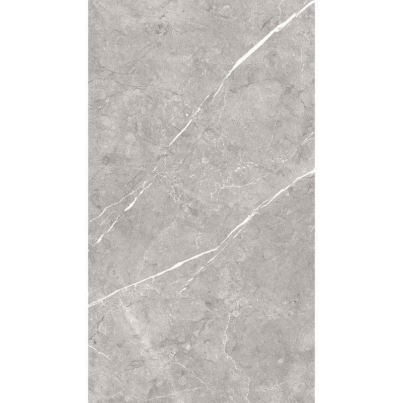 Magica ARTE Grey 30x60 cm 9 mm glatt