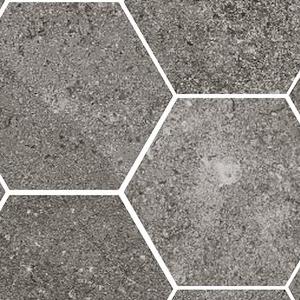 Hexagon Fossile