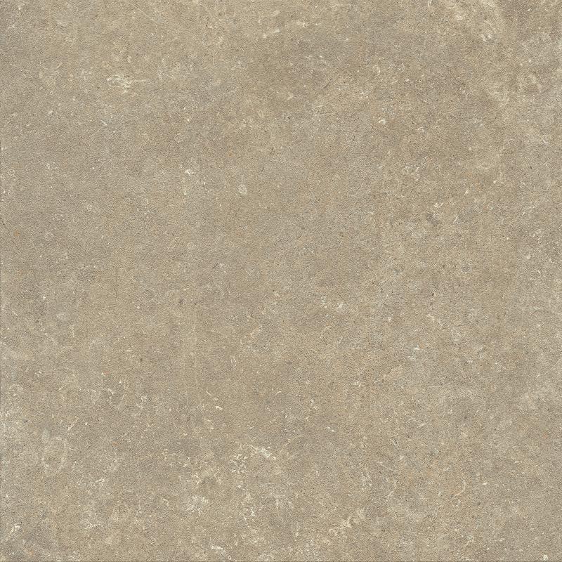 Marca Corona ARKISTYLE Earth 60x60 cm 9 mm Matte