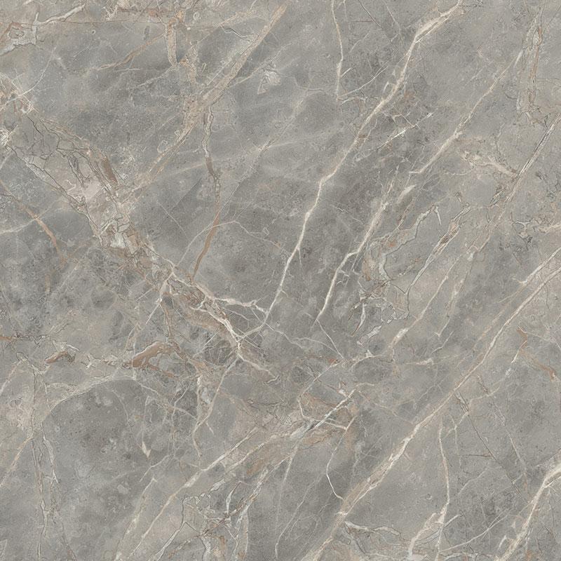 Luxury Design ETOILE DE REX ETOILE GRIS 120x120 cm 6 mm Glänzend