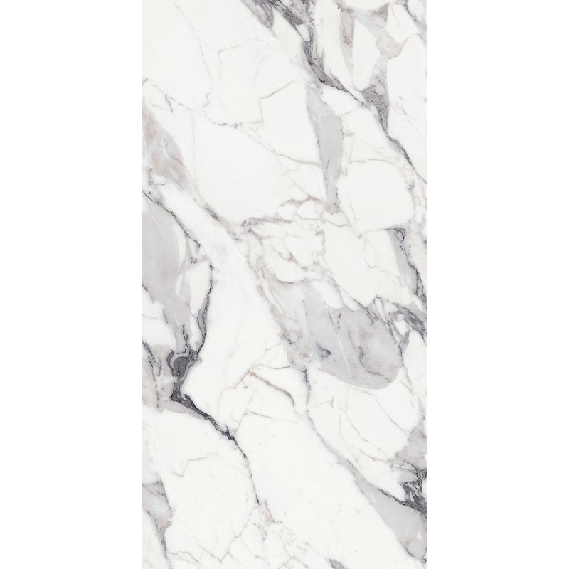 Luxury Design LES ORIGINES DE REX ORIGINES ARGENT 120x240 cm 6 mm Glänzend