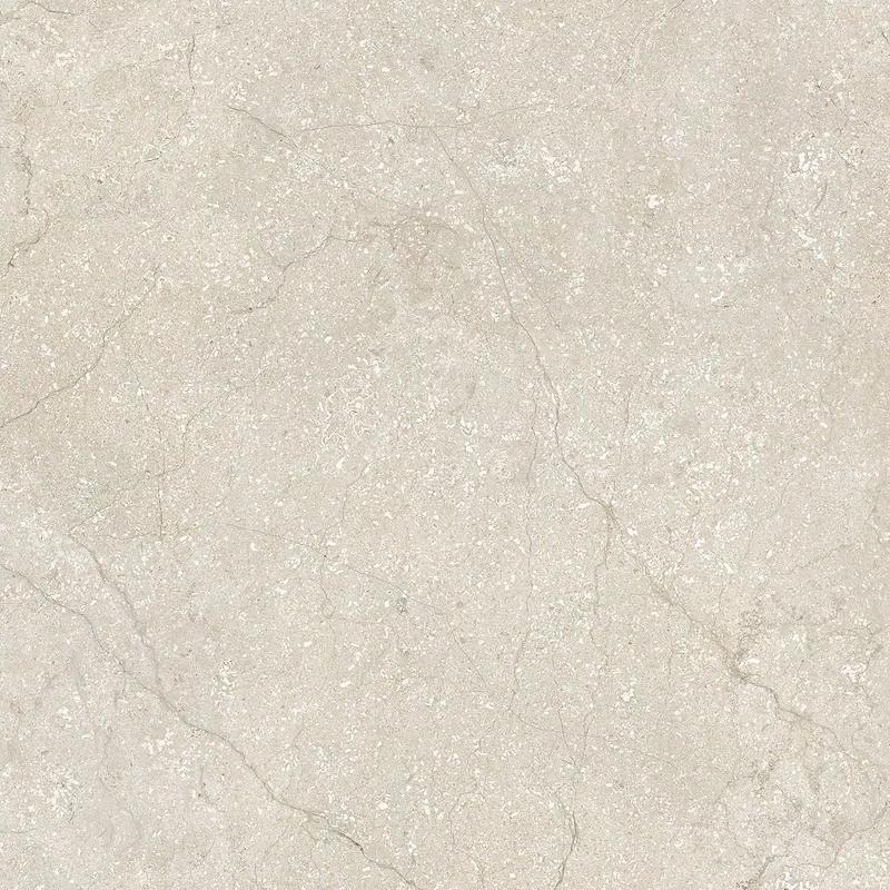 Contemporary Design STONE LIFE SHELL 120x120 cm 6 mm Matte