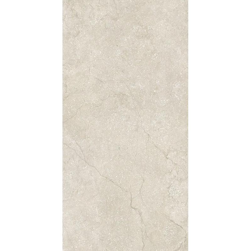 Contemporary Design STONE LIFE SHELL 120x280 cm 6 mm Matte